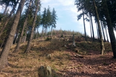 20190406_Suche_9