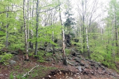 20190501_Sowie_7