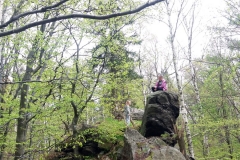 20190501_Sowie_8