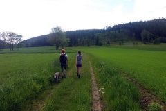 20190602_Krucze_1
