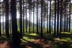 20190602_Krucze_11