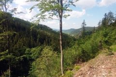 20190602_Krucze_13