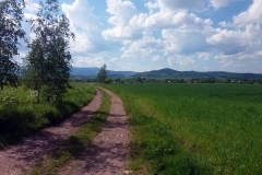 20190602_Krucze_18