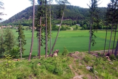 20190602_Krucze_2