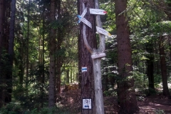 20190602_Krucze_8