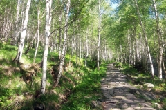 20190608_Skalny_Stol_16
