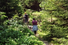 20190608_Skalny_Stol_4