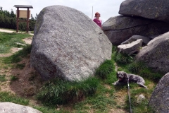 20190615_Szrenica_12