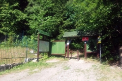20190629_Pancavski_1