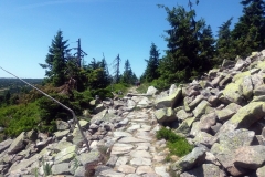 20190629_Pancavski_13