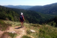 20190629_Pancavski_15