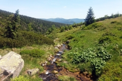 20190629_Pancavski_17