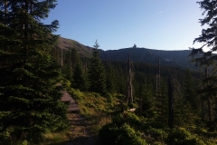 20190629_Pancavski_30