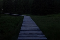20190629_Pancavski_31