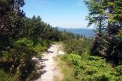 20190629_Pancavski_7