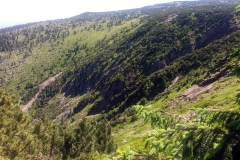 20190629_Pancavski_9
