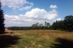 20190727_Sowie_12