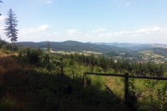 20190727_Sowie_3