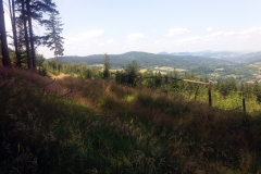 20190727_Sowie_4