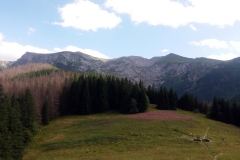 20190809_Czerwone_Wierchy_29
