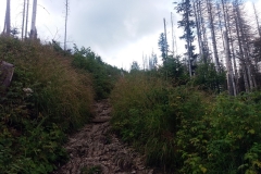 20190809_Czerwone_Wierchy_4