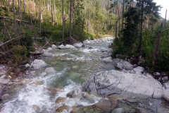 20190812_Krzyzne_3