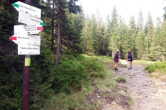 20190812_Krzyzne_37