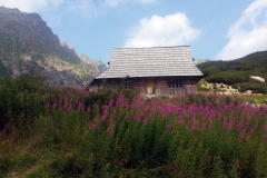 20190812_Krzyzne_8