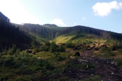 20190815_Konczysty_Wierch_4