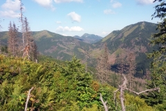 20190815_Konczysty_Wierch_6