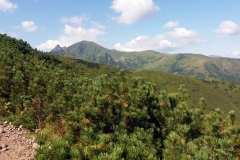20190815_Konczysty_Wierch_9