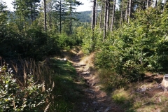 20190921_Kalenica_11