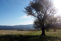20191012_Wzgorza_Wlodzickie_23