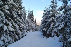 20200105_Karkonosze_3