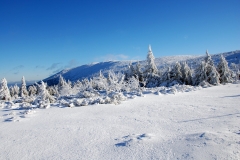 20200105_Karkonosze_30