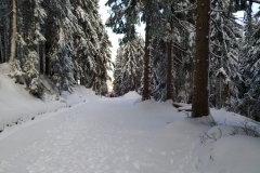 20200105_Karkonosze_5