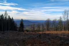 20200112_Radunia_1