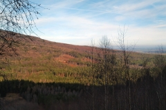 20200112_Radunia_11