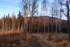 20200112_Radunia_3