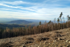 20200112_Radunia_5