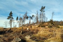 20200112_Radunia_8