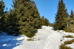 20200125_Karkonosze_5
