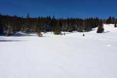 20200220_Karkonosze_11