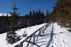20200220_Karkonosze_15