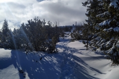 20200220_Karkonosze_21