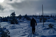 20200220_Karkonosze_23
