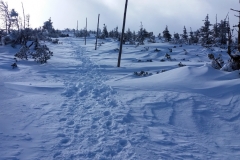 20200220_Karkonosze_25