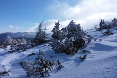 20200220_Karkonosze_26