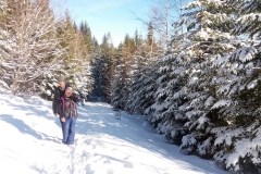 20200220_Karkonosze_4