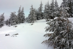 20200220_Karkonosze_40